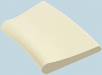 Beckenrandsteine f�r Langformbecken 3,00 x 4,90 m