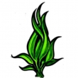 Poolaufkleber Flora 1