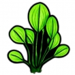 Poolaufkleber Flora 2