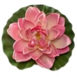 Poolaufkleber Flora 5