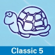 Poolaufkleber Classic 5