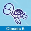 Poolaufkleber Classic 6