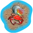 Poolaufkleber Meer 1