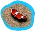 Poolaufkleber Meer 2