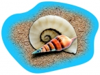 Poolaufkleber Meer 3