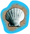 Poolaufkleber Meer 4
