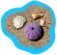 Poolaufkleber Meer 7