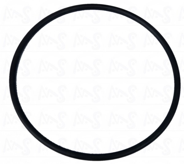 O - Ring für 6 Wegeventil Sandfilter Prima Blau