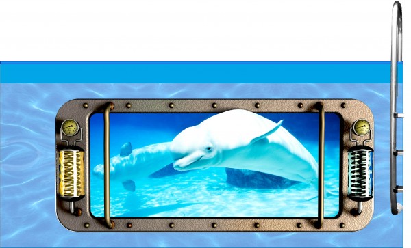 Poolaufkleber Nautic E 60 x 145 cm