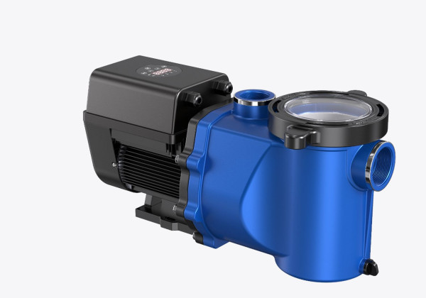 DK15 InverEasy Filterpumpe 15 m³/h Zeitschaltuhr