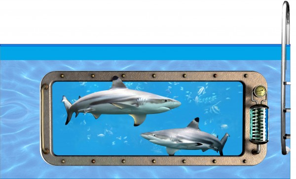 Poolaufkleber Nautic D 60 x 145 cm